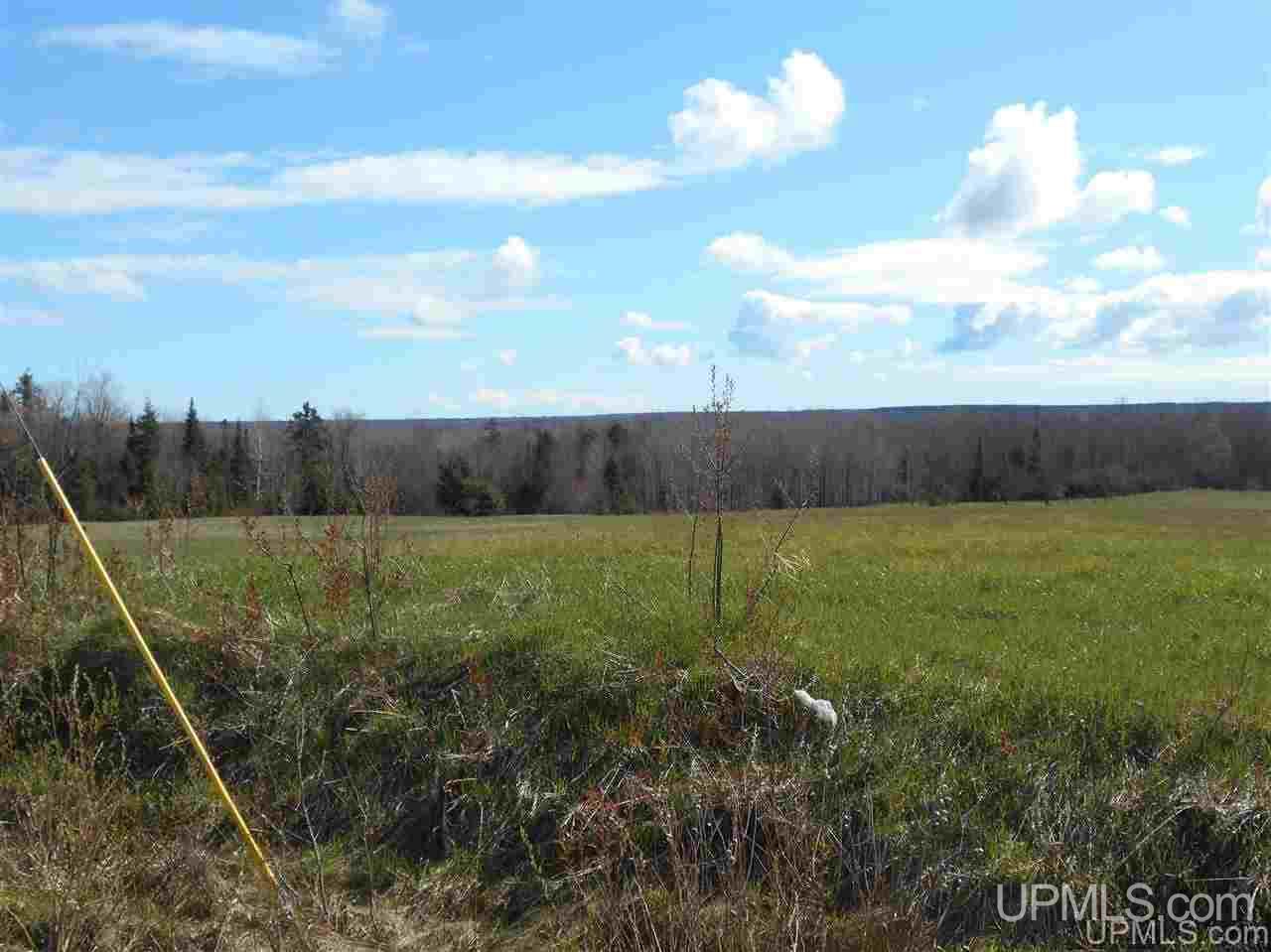 28818 North Simar Wasas Road Mass City, MI 49948 - Photo 8 of 11