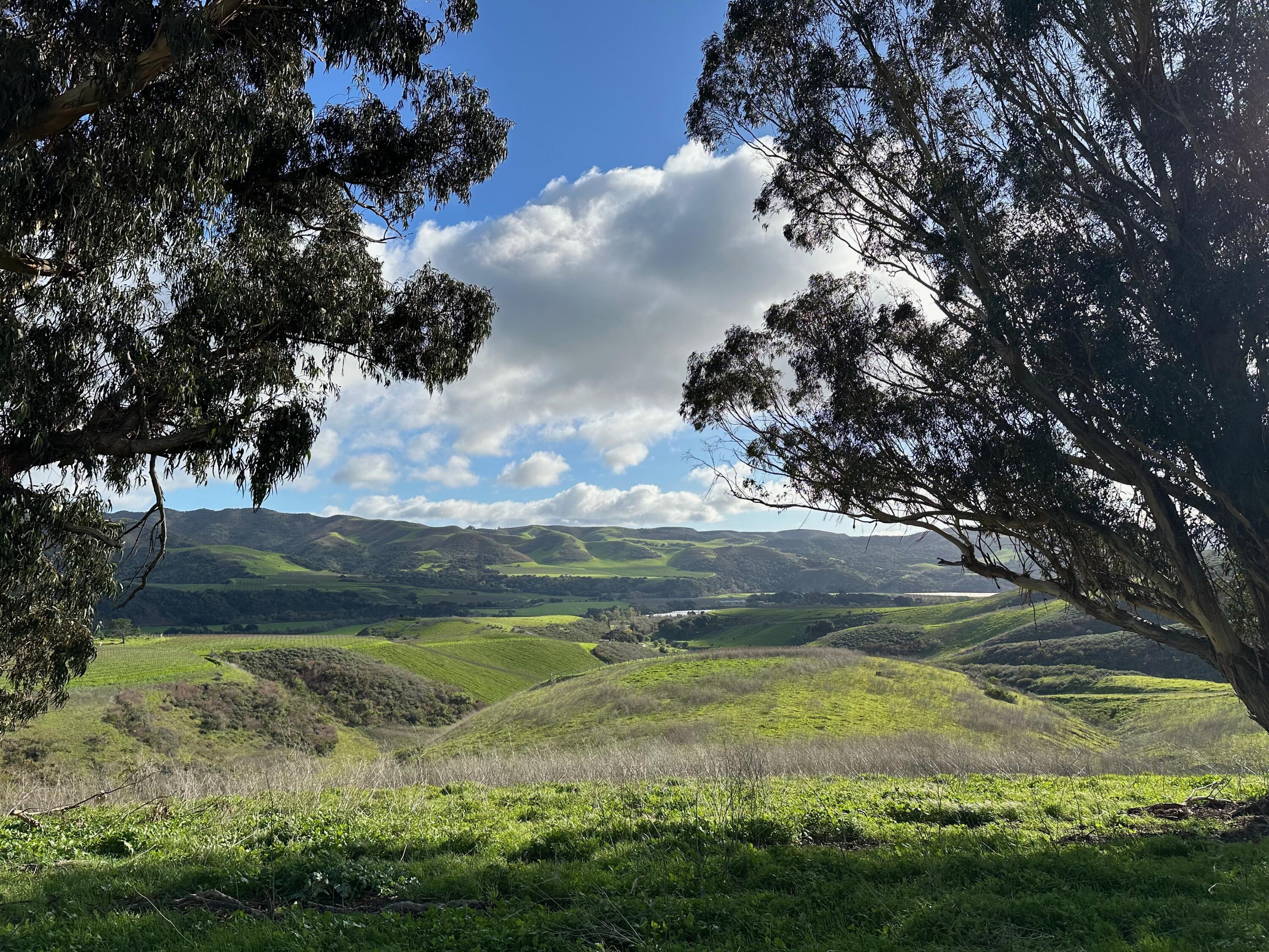 4695 Sweeney Road Lompoc, CA 93436 - Photo 1 of 5 IMG_8079