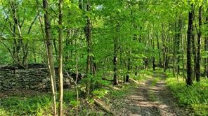 Jim Lane Road Bovina Center, NY 13740 - Photo 11 of 50