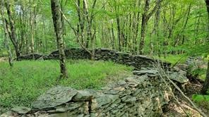 Jim Lane Road Bovina Center, NY 13740 - Photo 12 of 50