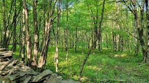 Jim Lane Road Bovina Center, NY 13740 - Photo 13 of 50