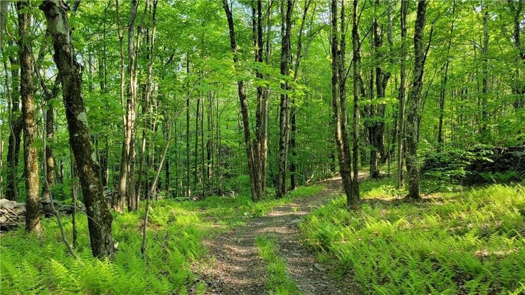 Jim Lane Road Bovina Center, NY 13740 - Photo 14 of 50