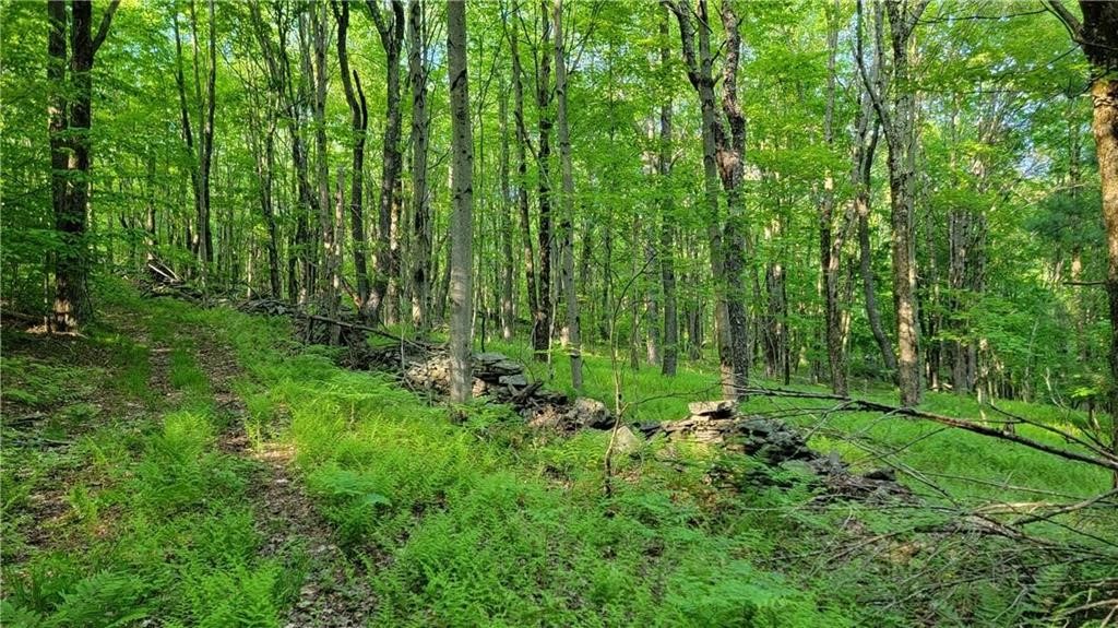 Jim Lane Road Bovina Center, NY 13740 - Photo 15 of 50