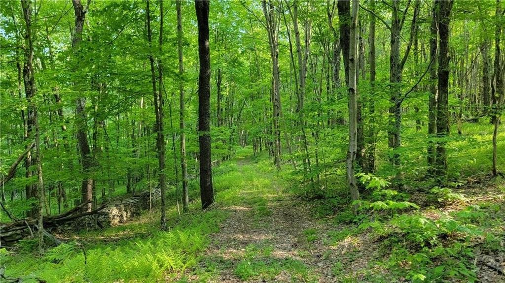 Jim Lane Road Bovina Center, NY 13740 - Photo 16 of 50