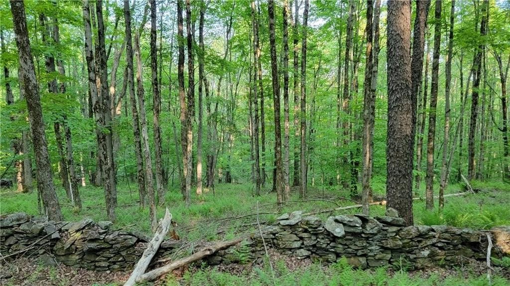 Jim Lane Road Bovina Center, NY 13740 - Photo 18 of 50