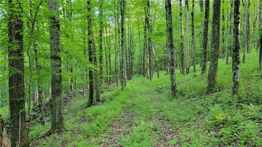 Jim Lane Road Bovina Center, NY 13740 - Photo 19 of 50