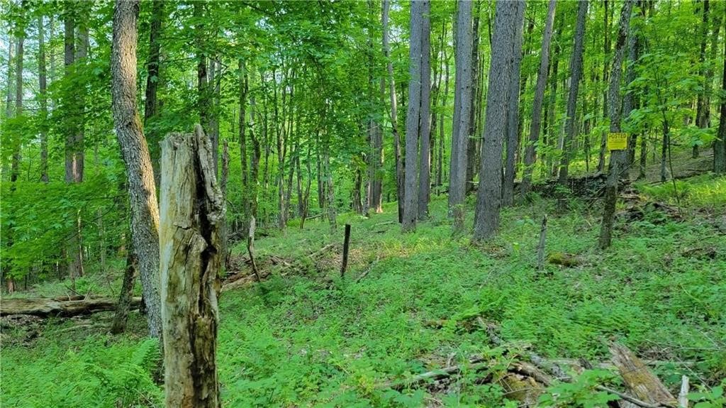 Jim Lane Road Bovina Center, NY 13740 - Photo 20 of 50