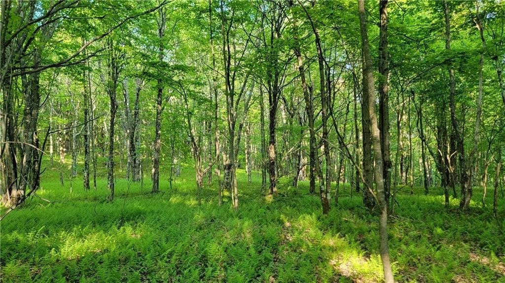 Jim Lane Road Bovina Center, NY 13740 - Photo 21 of 50