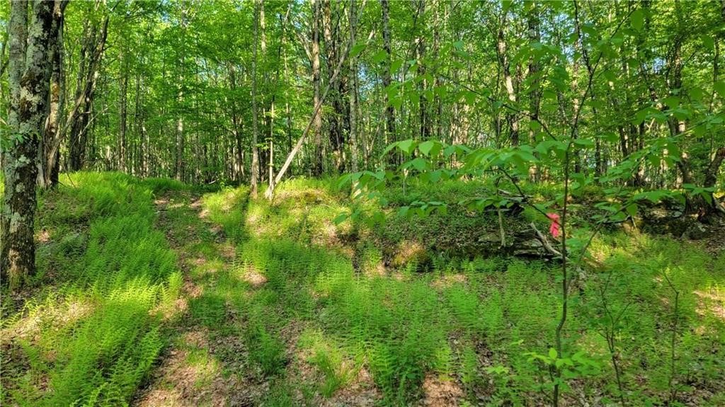 Jim Lane Road Bovina Center, NY 13740 - Photo 22 of 50