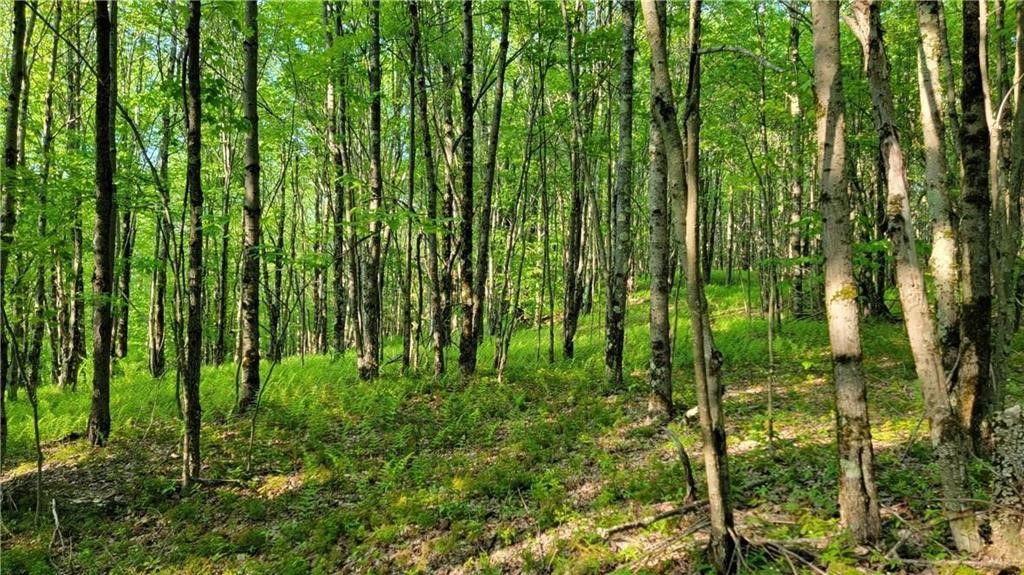 Jim Lane Road Bovina Center, NY 13740 - Photo 23 of 50