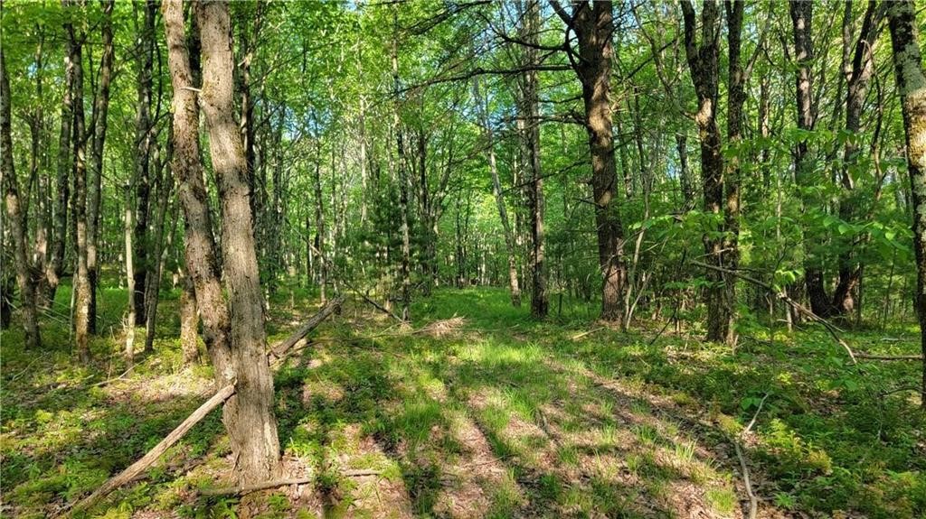 Jim Lane Road Bovina Center, NY 13740 - Photo 24 of 50