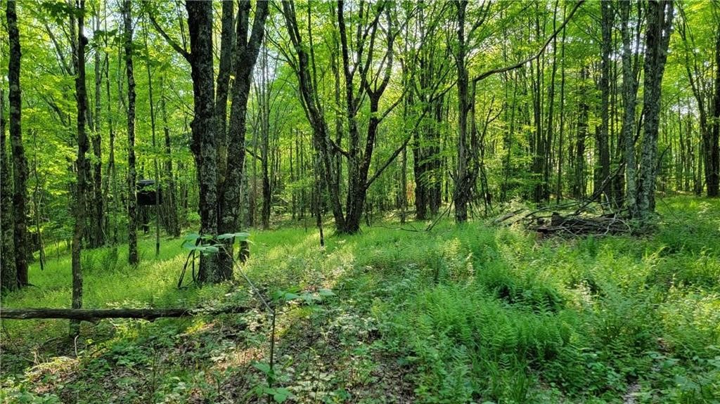 Jim Lane Road Bovina Center, NY 13740 - Photo 25 of 50