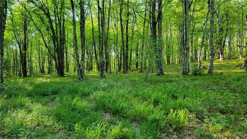 Jim Lane Road Bovina Center, NY 13740 - Photo 26 of 50