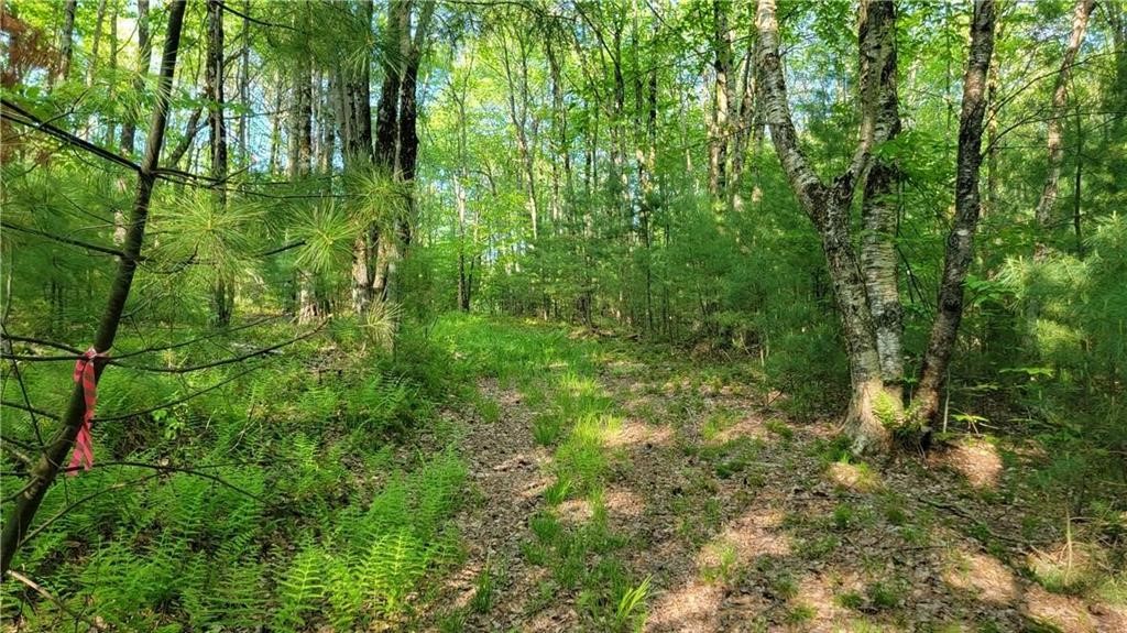 Jim Lane Road Bovina Center, NY 13740 - Photo 27 of 50