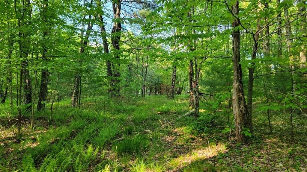 Jim Lane Road Bovina Center, NY 13740 - Photo 28 of 50