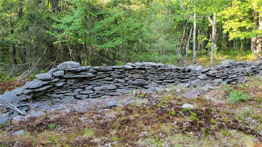 Jim Lane Road Bovina Center, NY 13740 - Photo 29 of 50