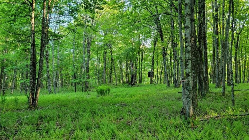 Jim Lane Road Bovina Center, NY 13740 - Photo 32 of 50