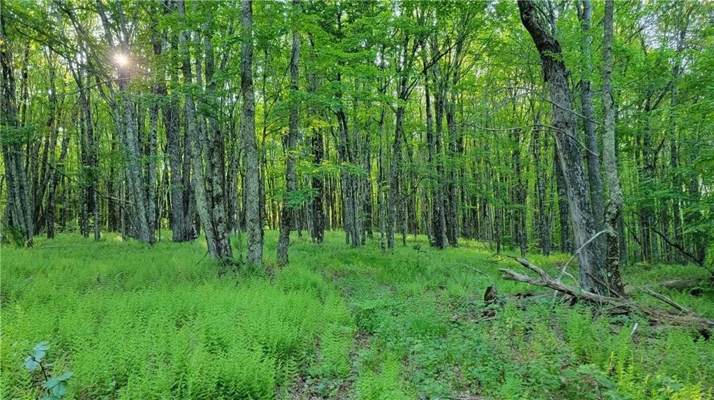 Jim Lane Road Bovina Center, NY 13740 - Photo 33 of 50