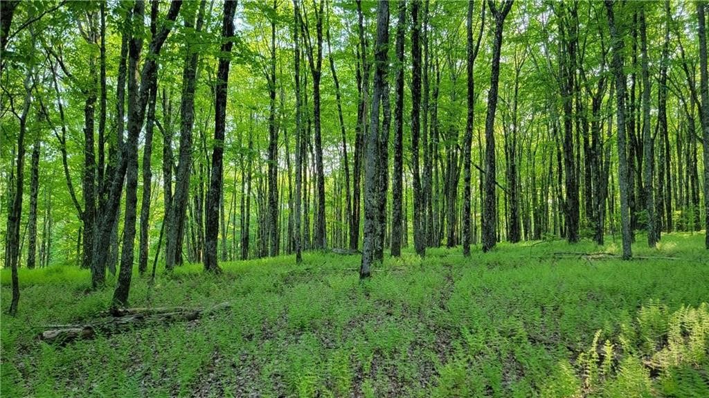 Jim Lane Road Bovina Center, NY 13740 - Photo 34 of 50