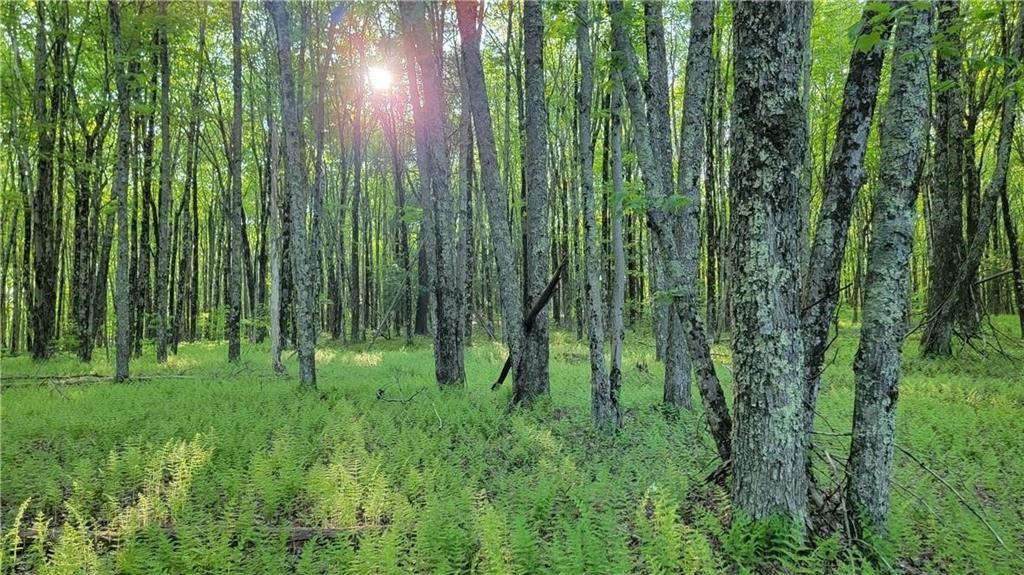 Jim Lane Road Bovina Center, NY 13740 - Photo 35 of 50