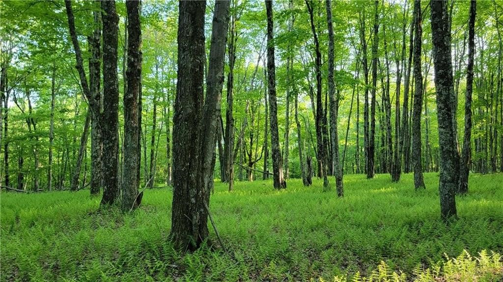 Jim Lane Road Bovina Center, NY 13740 - Photo 36 of 50