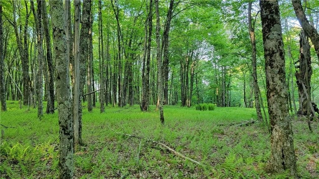 Jim Lane Road Bovina Center, NY 13740 - Photo 37 of 50