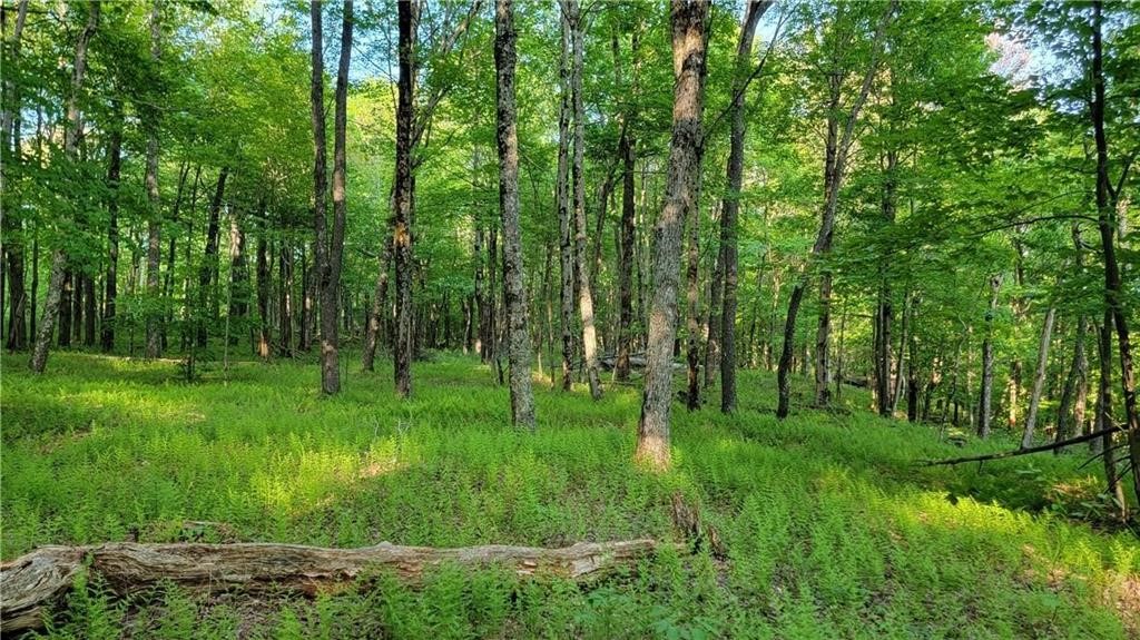 Jim Lane Road Bovina Center, NY 13740 - Photo 38 of 50