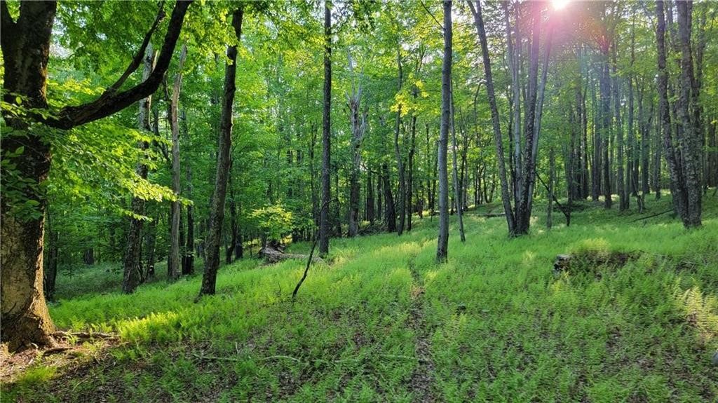 Jim Lane Road Bovina Center, NY 13740 - Photo 39 of 50