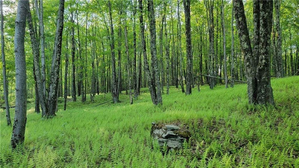 Jim Lane Road Bovina Center, NY 13740 - Photo 40 of 50