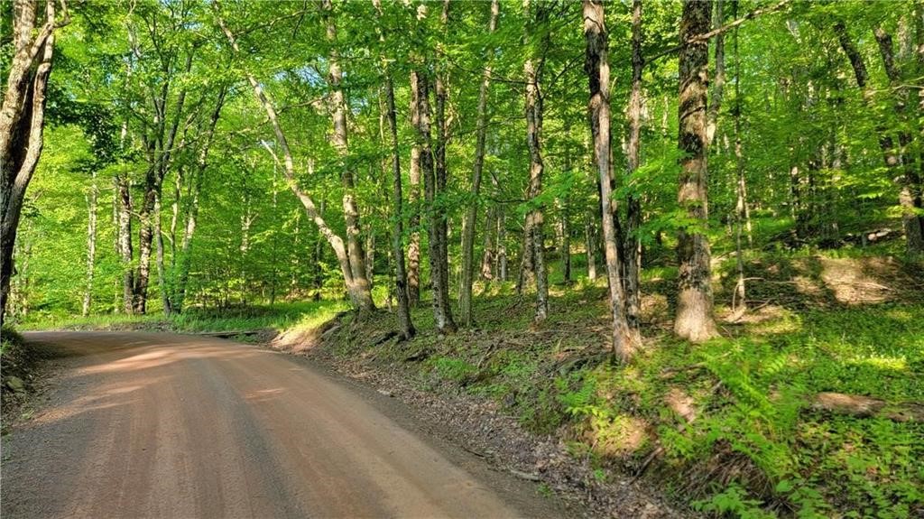 Jim Lane Road Bovina Center, NY 13740 - Photo 4 of 50