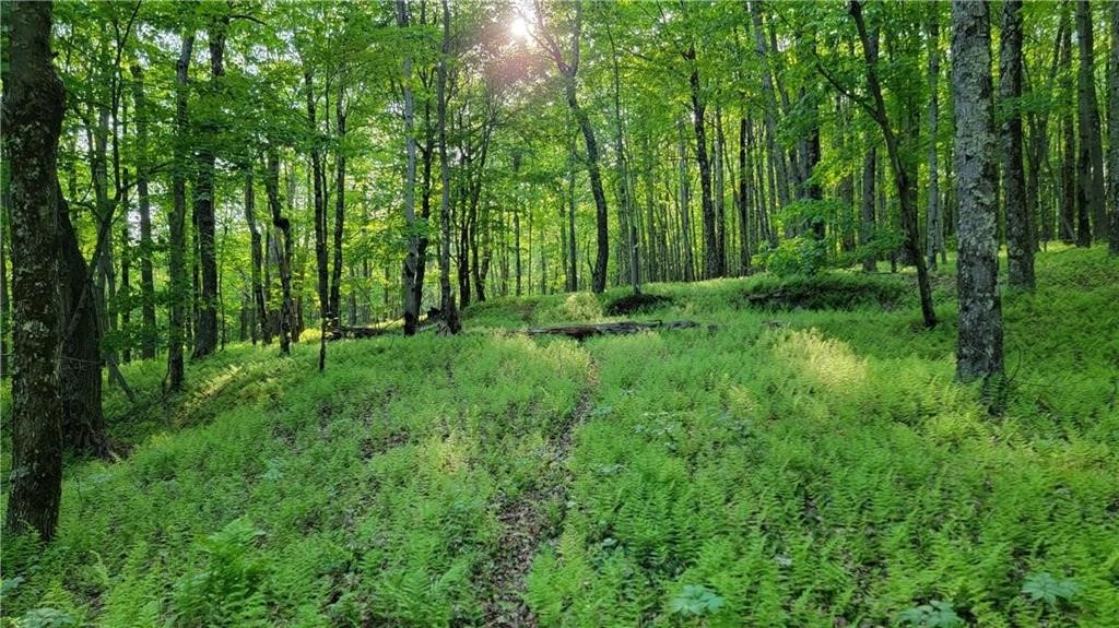 Jim Lane Road Bovina Center, NY 13740 - Photo 41 of 50