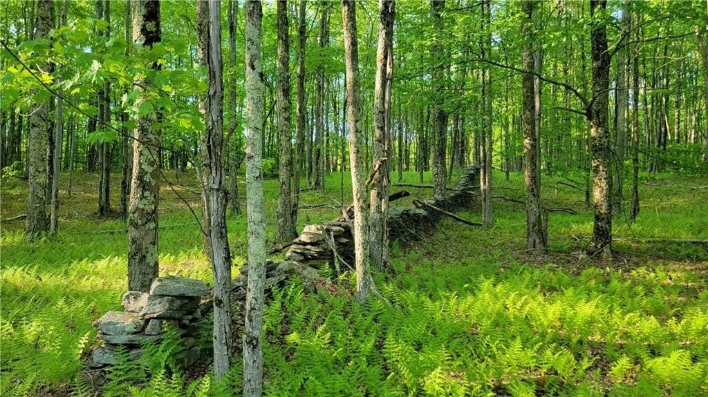 Jim Lane Road Bovina Center, NY 13740 - Photo 42 of 50