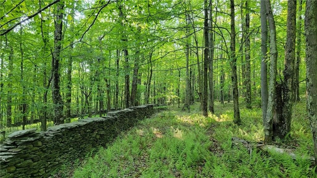 Jim Lane Road Bovina Center, NY 13740 - Photo 43 of 50
