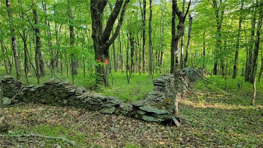 Jim Lane Road Bovina Center, NY 13740 - Photo 44 of 50