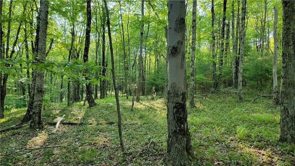 Jim Lane Road Bovina Center, NY 13740 - Photo 45 of 50