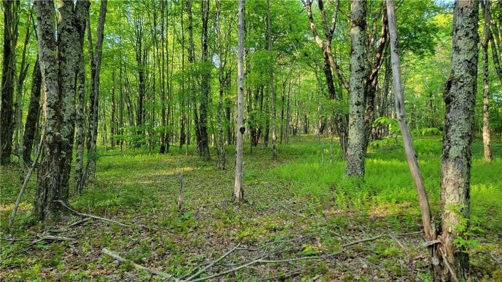 Jim Lane Road Bovina Center, NY 13740 - Photo 46 of 50