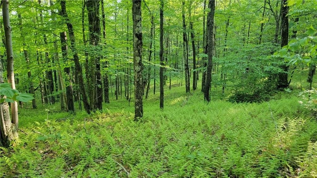 Jim Lane Road Bovina Center, NY 13740 - Photo 47 of 50