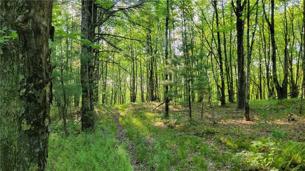 Jim Lane Road Bovina Center, NY 13740 - Photo 48 of 50