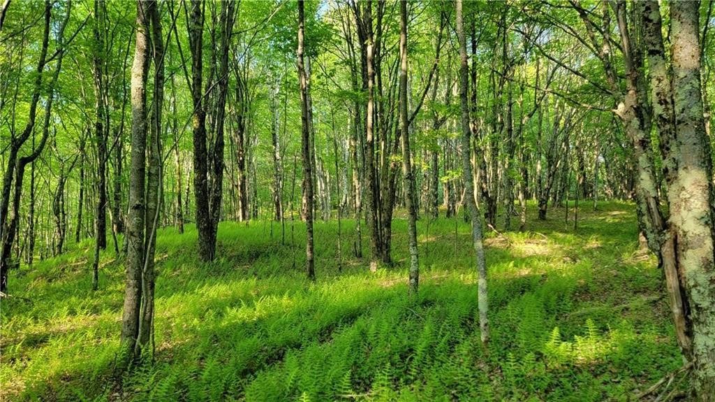 Jim Lane Road Bovina Center, NY 13740 - Photo 49 of 50