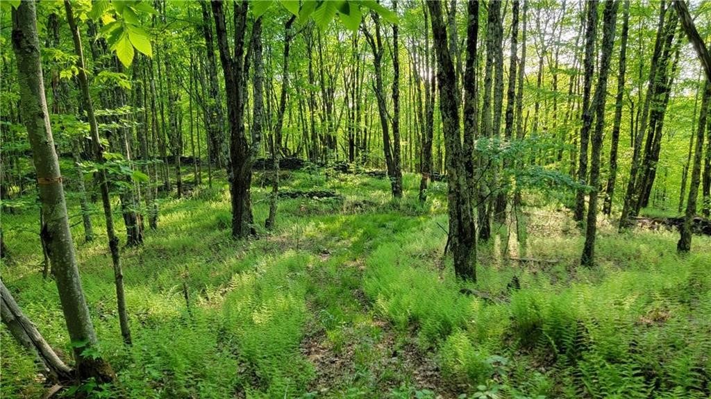 Jim Lane Road Bovina Center, NY 13740 - Photo 50 of 50