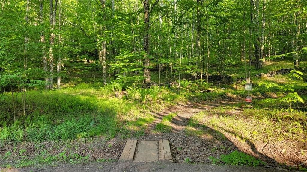 Jim Lane Road Bovina Center, NY 13740 - Photo 5 of 50