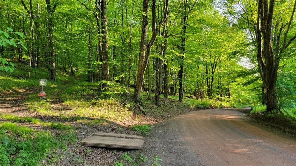 Jim Lane Road Bovina Center, NY 13740 - Photo 6 of 50