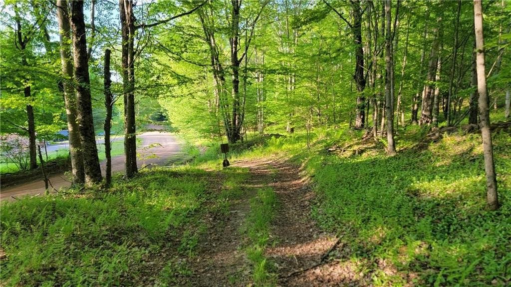 Jim Lane Road Bovina Center, NY 13740 - Photo 7 of 50