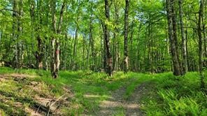 Jim Lane Road Bovina Center, NY 13740 - Photo 9 of 50