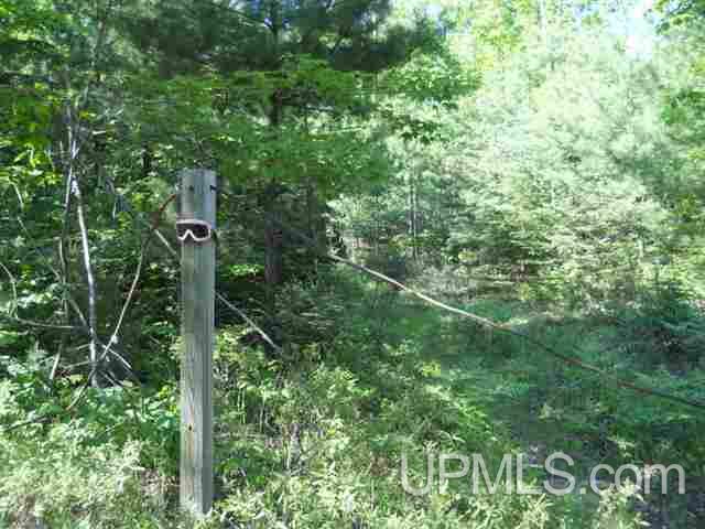 Tbd Missouri Rd - Co Rd 565, Unit LAT 46 31633 LON 87 5822 Gwinn, MI 49841 - Photo 25 of 30