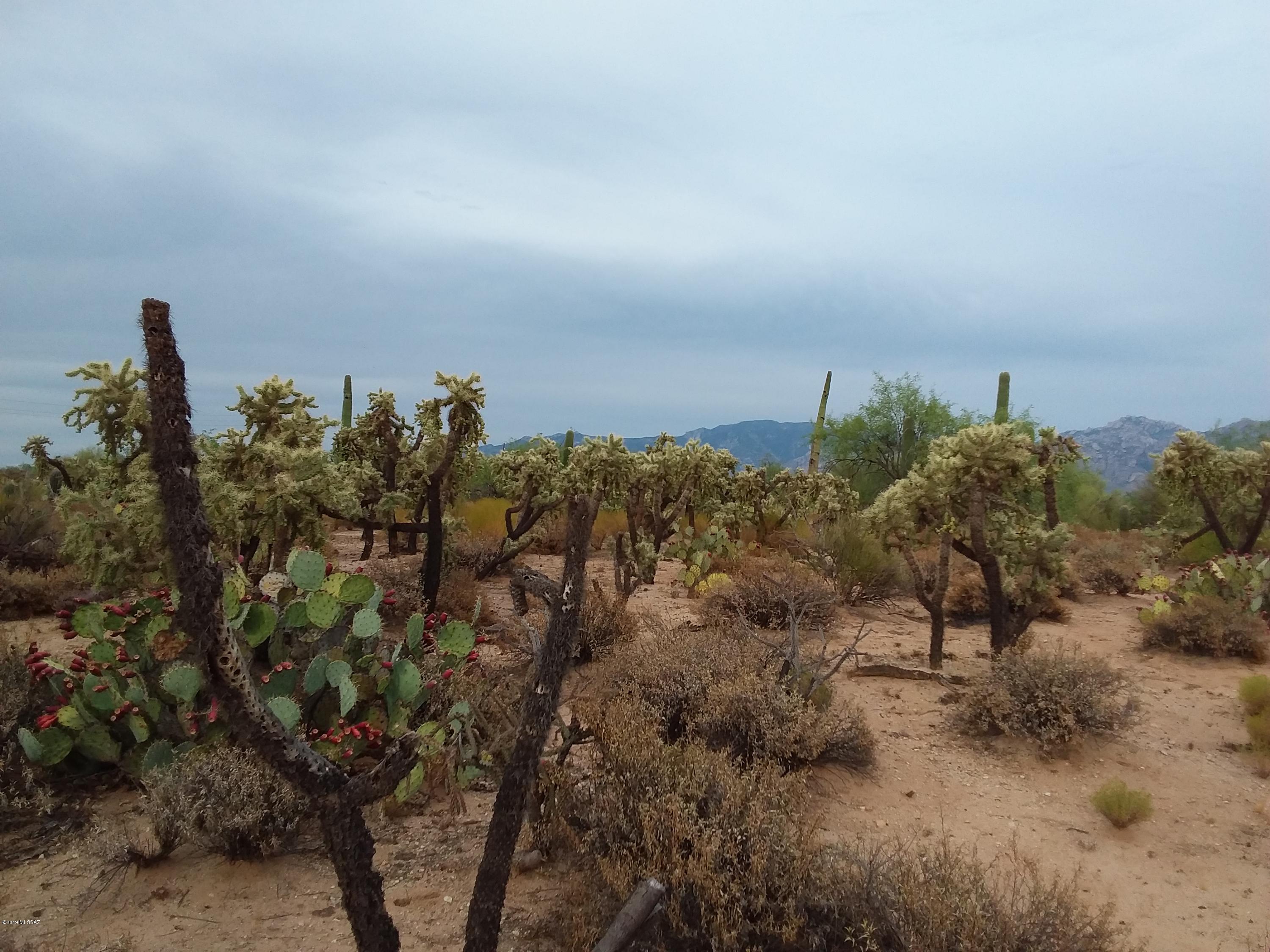 2315 West Tangerine Road Tucson, AZ 85742 - Photo 8 of 27