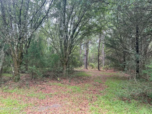 $159,900 | 1680 Franks Lane, Bonifay, FL 32425