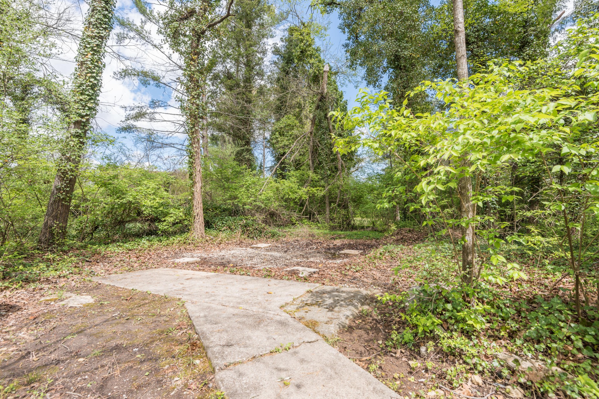 109 Culver Road Oak Ridge, TN 37830 - Photo 29 of 33 Gallery Image 29