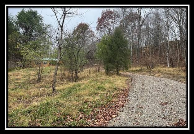 35887 Buck Run Road, Unit TRACT 7 Langsville, OH 45741 - Photo 20 of 37 image020