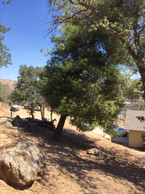 34684 George Smith Road Squaw Valley, CA 93675 - Photo 25 of 34 Gallery Image 25